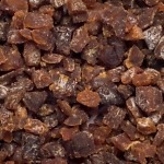 Aprikosbitar Torkade