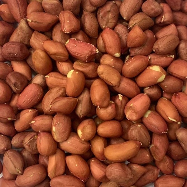 Jordnötter naturella jordnötter