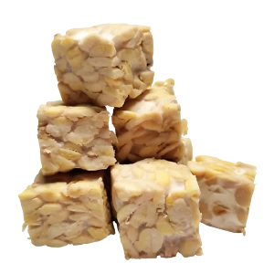 Tempeh