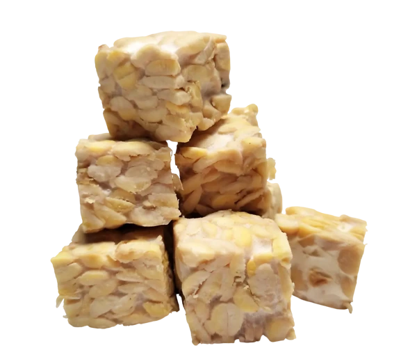 Tempeh Tempeh - Bild 1