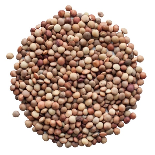 Gotlandslins eko gotlandslins eko