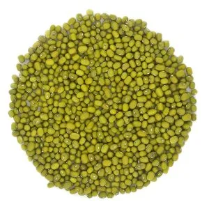 Mungbönor i lösvikt – gröna torra bönor i skål