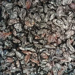 Stora russin Black Beauty