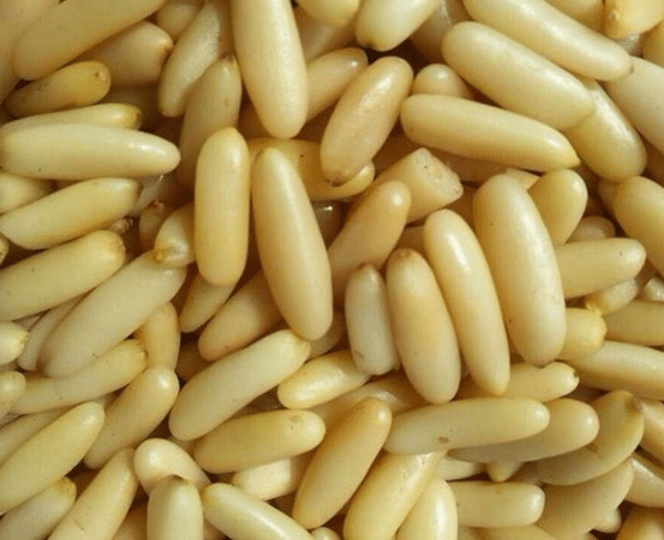 pinjenötter