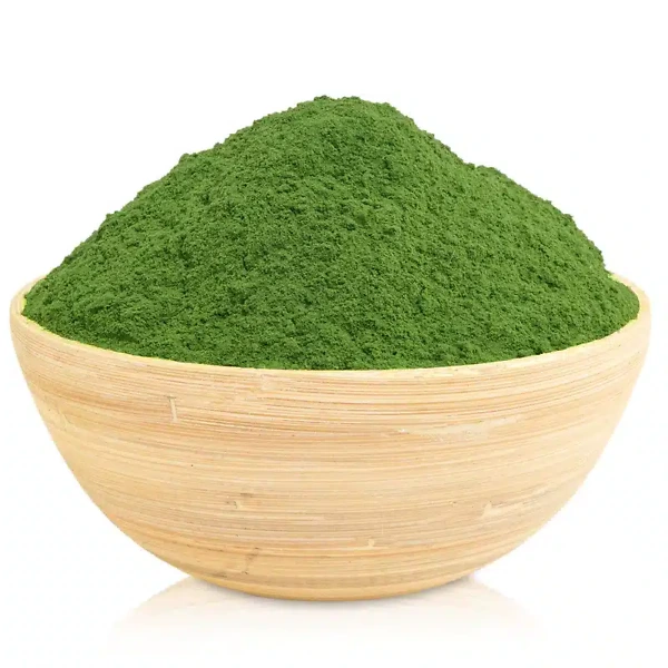 moringa Oleifera
