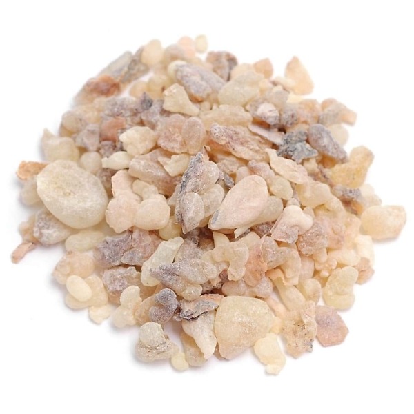 Boswellia Serrata boswellia serrata