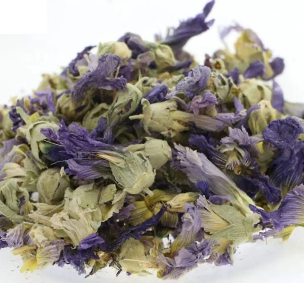 Läkemalva blommor läkemalva blommor