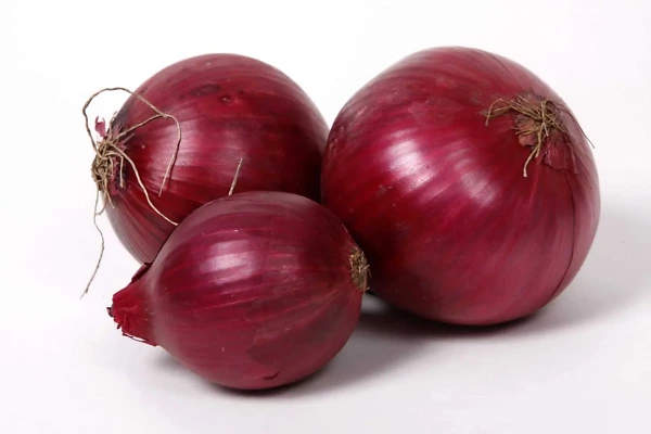 Röd lök obesprutad röd lök obesprutad